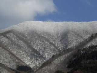 霧氷の稜線a.jpg