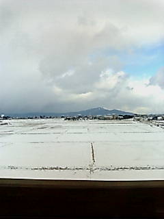 20090115104223.jpg